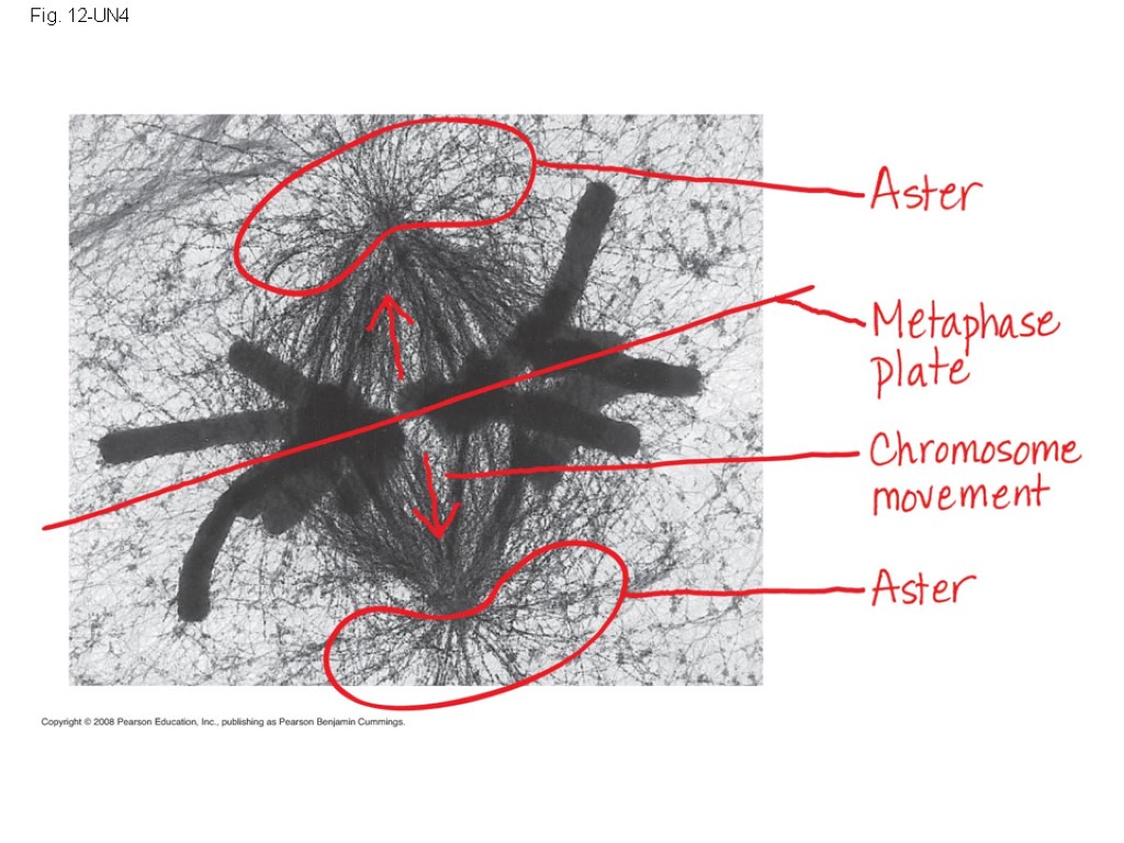 Fig. 12-UN4